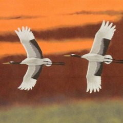 La migration des grues (arrangements...avec les saisons)