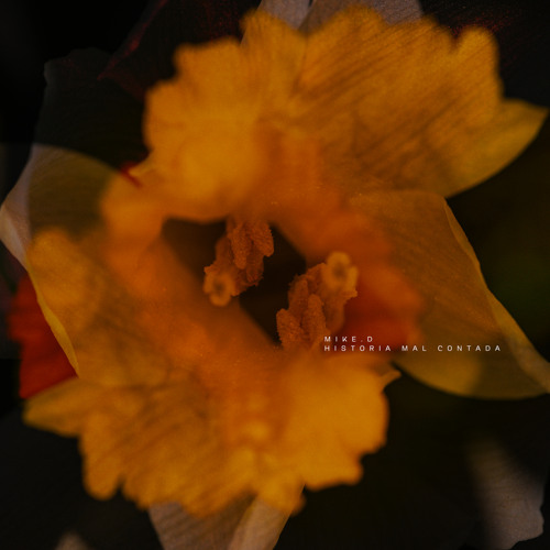 Caminar En El Suelo (Hipnosis Nocturna Mix)