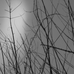 Mud Baby Lullaby to the Noctilucent Cloud