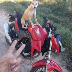 Vou sarra nessas piranha com a minha glock de rajada no babi