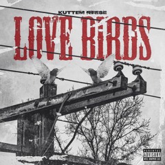 Love Birds