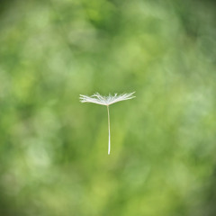 I Am Not Waiting Anymore