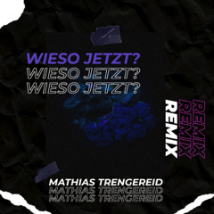 JBS - Wieso Jetzt? (Mathias Trengereid Hypertechno Remix)
