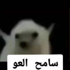 سامح العو (النسخة الديمو) Sameh El Aaw (Demo Version)