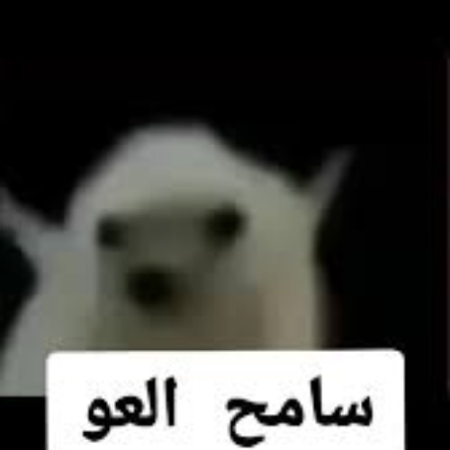 سامح العو (النسخة الديمو) Sameh El Aaw (Demo Version)