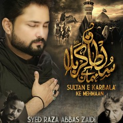 Sultan e Karbala Ke Mehmaan  --  Syed Raza Abbas Zaidi  --  2022  --  1444