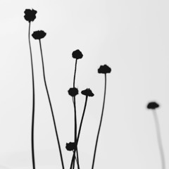 The Puzzle | Episode #45 | ProOne79