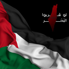 ‎⁨لو شربوا البحر أو هدوا السور • عكا⁩