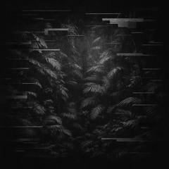 Jungle