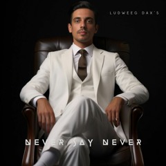 Ludweeg Dax's - Never Say Never (Radio Edit)