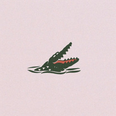 ZIP ZAP  Episode #001 🐊