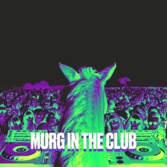 Liviu Vasilica vs. 50 Cent - Murg In The Club (Brezzilla remix)