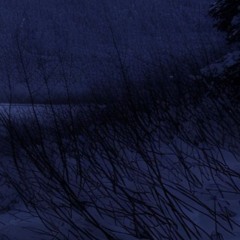 Desserrvedd - I can feel our great fear. [Demo]