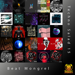 Techno Salad 15