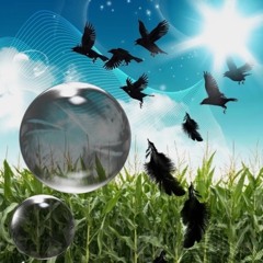 Feeling Grey on a Sunny Day