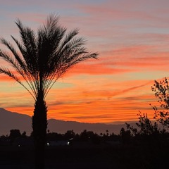 Cristo Vino A Ser Un Hombre-Himno 474 🌺 Christ Has Put On Human Nature-Hymn 1017 🌹