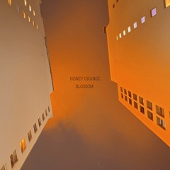 Honey Orange Blossom (prod. LettersinLullaby)