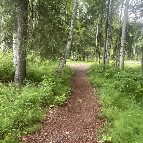 Simpler Complex - (I’ve had) A Million Dreams Before