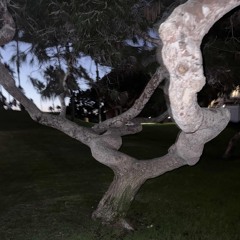 Hidden (Prod.DuelDutch)