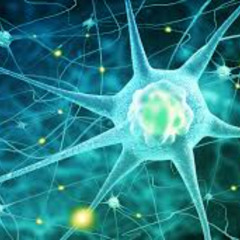 Neuroillogical