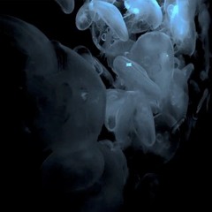 26012020