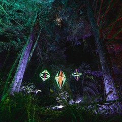 Samaha at the Wildwood // APOG Festival 2024