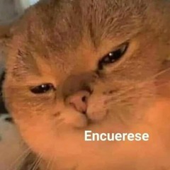 The Requiem Of Silence Donde Fuiste