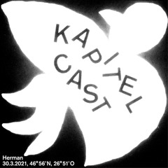 Kapitelcast 013 - Herman
