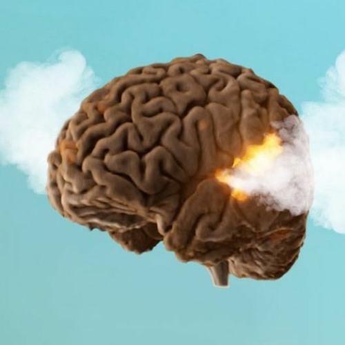 Crashing Brains
