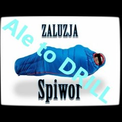 Żaluzja - Śpiwór Ale To DRILL