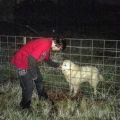 SEMATARY - I HAIL THE NIGHT ** SLOWED AND REVERB **