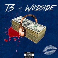 T3 - WildSide (Official Audio)