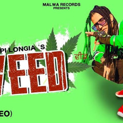 Weed Gopi Longia.mp3