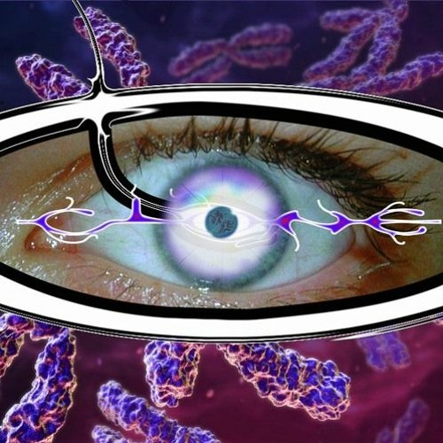 Born To Fear The Unknown 2022