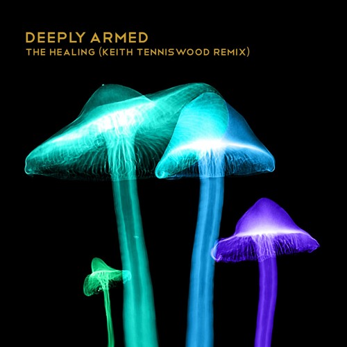 The Healing (Keith Tenniswood Remix)