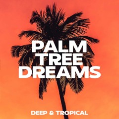 TIGO Presents - Palm Tree Dreams