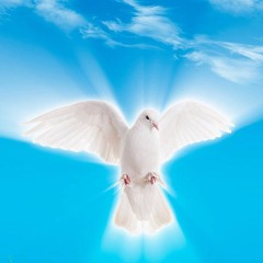 OSL FINAL 2010 [AUDIO ENHANCED]