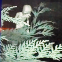 SNOWGLOBES & STROBELIGHTS