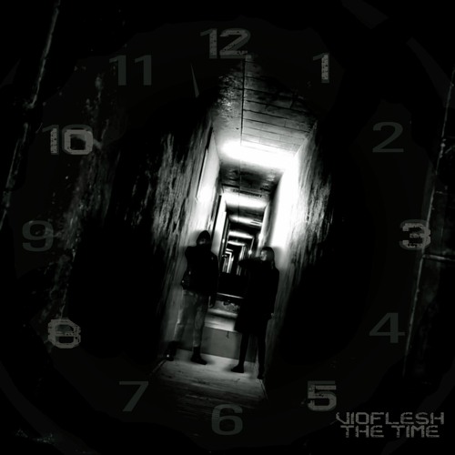 Vioflesh - The Time