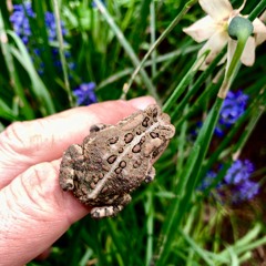 PEEPERS 2AM 20MAY2021