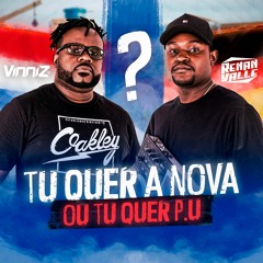 TU QUER A NOVA OU TU QUER P.U ? [ VINNIZ DJ & DJ RENAN VALLE ]