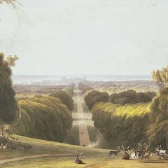 Royal Road