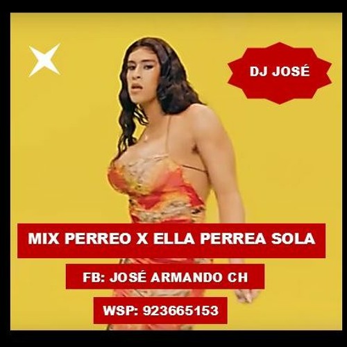 Stream MIX PERREO VOL 02 X ELLA PERREA SOLA X SAFAERA - Bad Bunny 2020  REGUETON MIX - DJ JOSÉ by Jose Armando Ch | Listen online for free on  SoundCloud