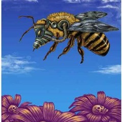 Flight Of The Bumblebee in 19EDO