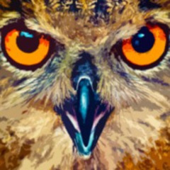 Don't Go Back To Sleep