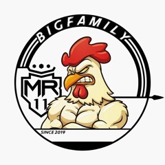 HISLERIM v2 2020 [ EZZA JUNIOR x MR11 BIG FAMILY ] TONHO_HR11 #VVIP