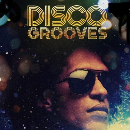 DISCO GROOVES Vol 2