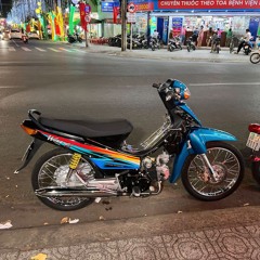2IN1 HOA GIAI BANG NUOC MAT