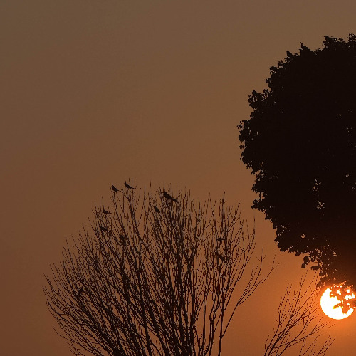 Wonder and Falter (Demo)