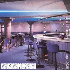 Lava Lamp Radio w/ Shelf Space ★ KCHUNG PUBLIC ★ March 2025